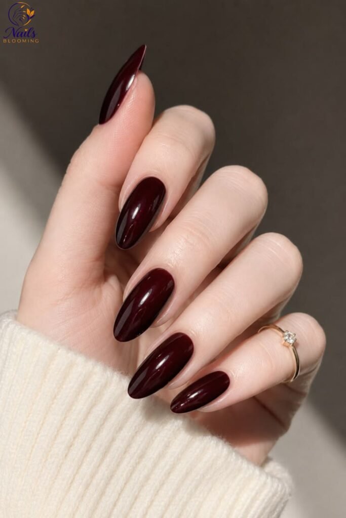 Black Cherry Nails with Glossy Finish